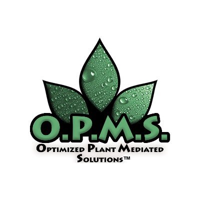 Box OPMS Kratom Capsule