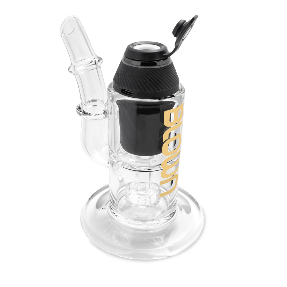 Blown Locus PRXY2 Gold 