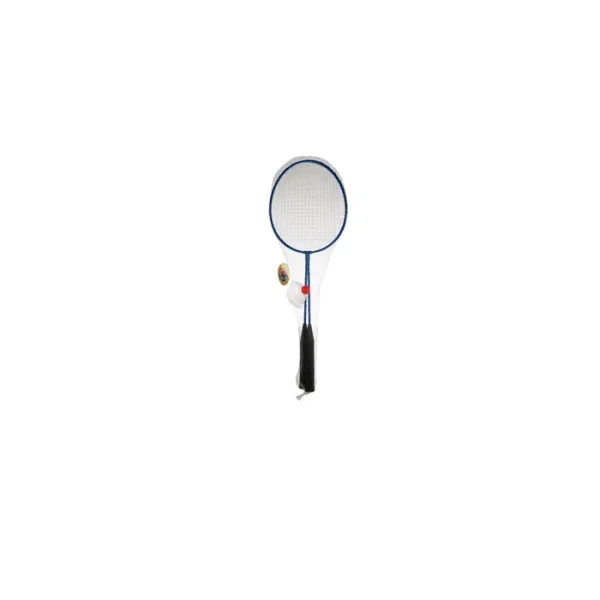 BADMINTON SET W/ BIRDIE
