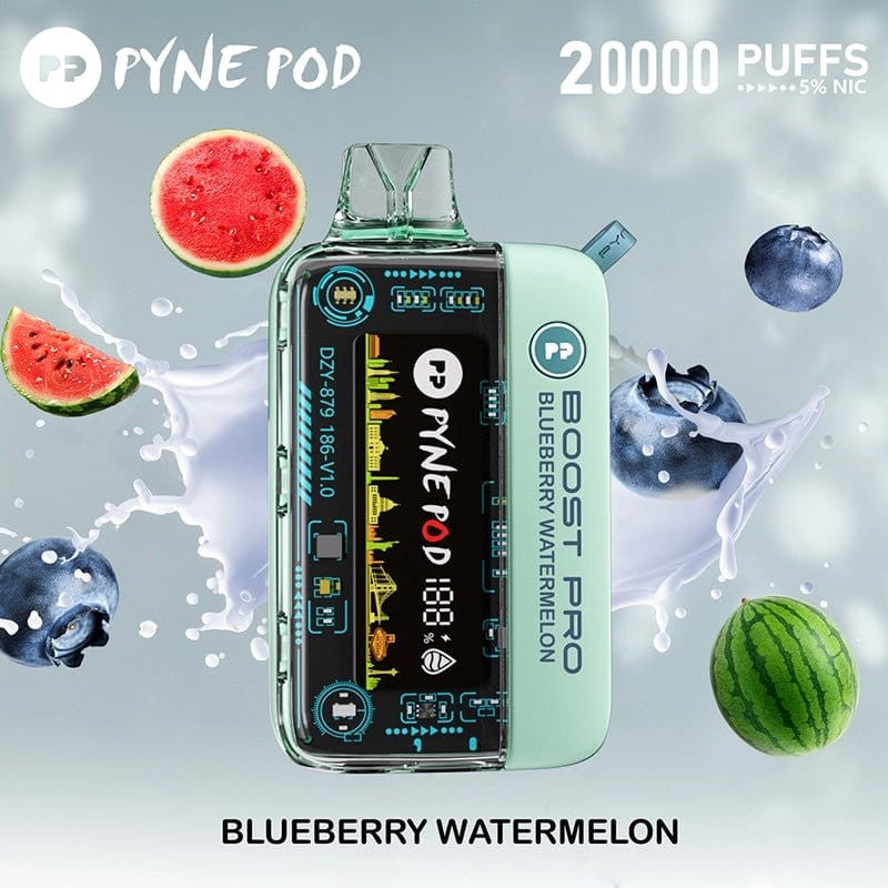 Pyne Pod Round Trip 20K Puffs 5% | Blueberry Watermelon