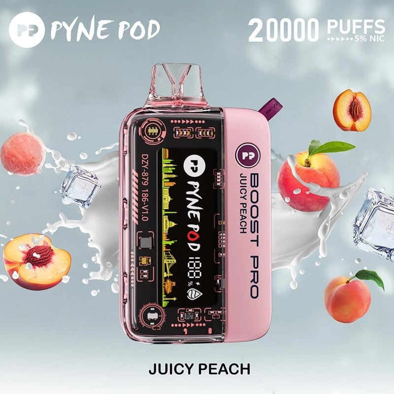 Pyne Pod Round Trip 20K Puffs 5% | Juicy Peach