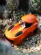 Lookah FF1 510 Battery Orange