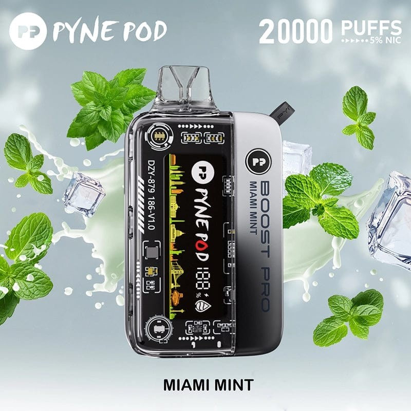 Pyne Pod Round Trip 20K Puffs 5% | Miami Mint