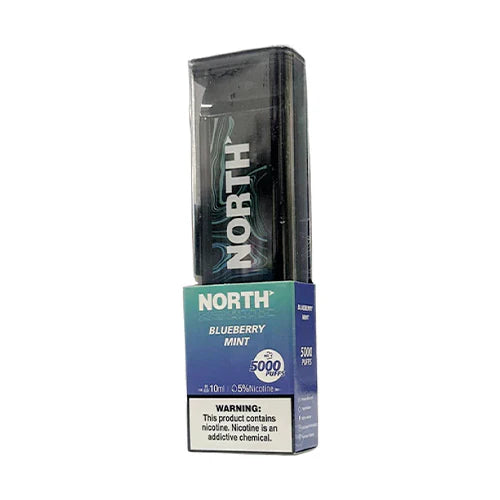 North Disposable 5000 Puffs 10mL 50mg | MOQ 10 | Blueberry Mint with packaging