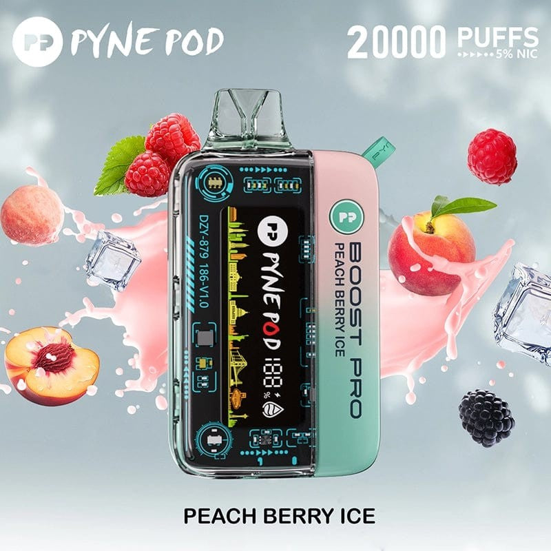 Pyne Pod Round Trip 20K Puffs 5% | Peach Berry Ice